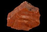 Brick Red, Polished Petrified Wood (Araucarioxylon) - Arizona #147901-1